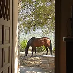 Getaway Andros