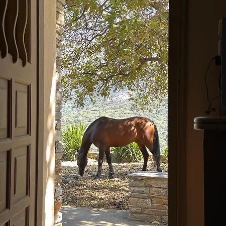 Getaway Andros